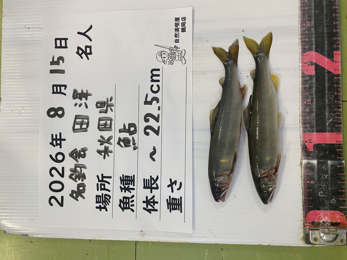 鮎